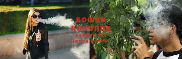 дурь Белоозёрский