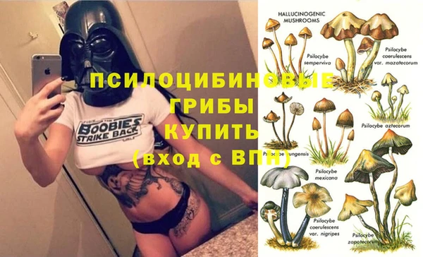 дурь Белоозёрский