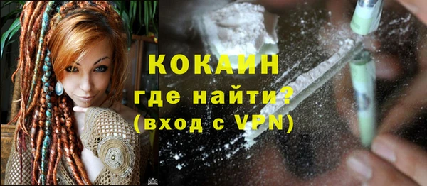 PSILOCYBIN Алагир
