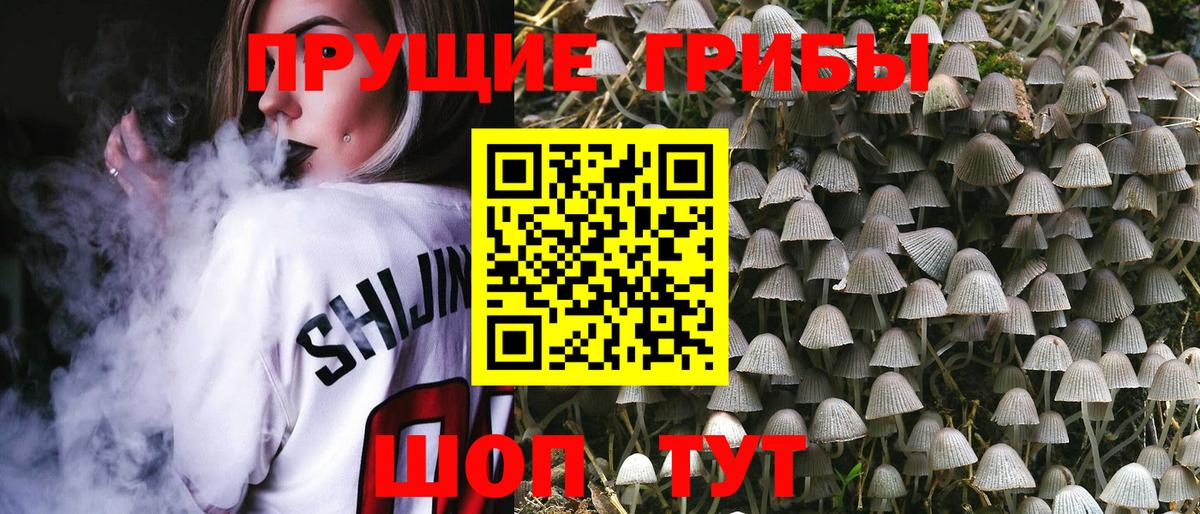 Псилоцибиновые грибы GOLDEN TEACHER Борзя