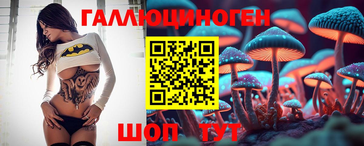 Псилоцибиновые грибы Psilocybe  Вход с VPN  Борзя 